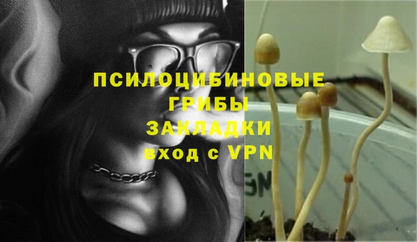 МДПВ Абаза