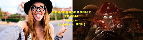 прущие крисы Алексин