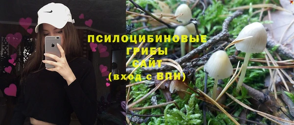 МДПВ Абаза
