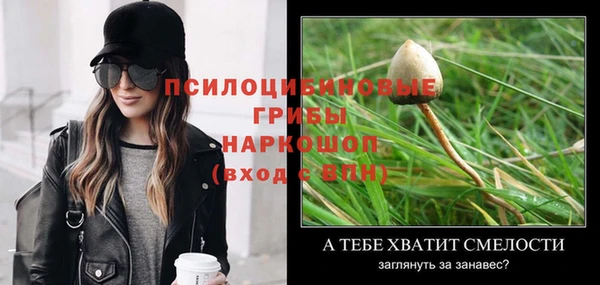 ГАЛЛЮЦИНОГЕННЫЕ ГРИБЫ Алексеевка